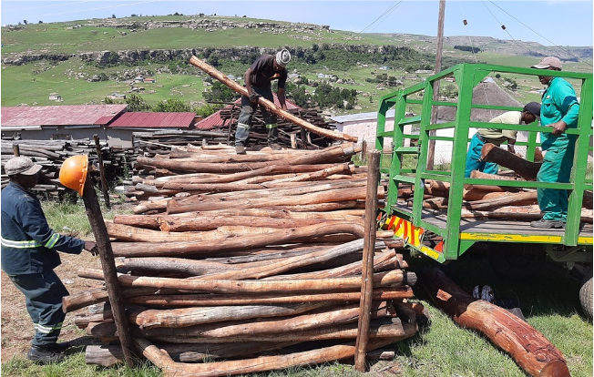 Offloading pulpwood
