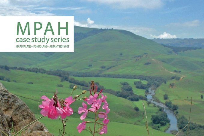 MPAH case study series: Umgano Project