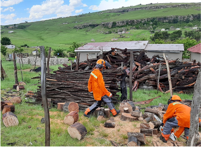 firewood