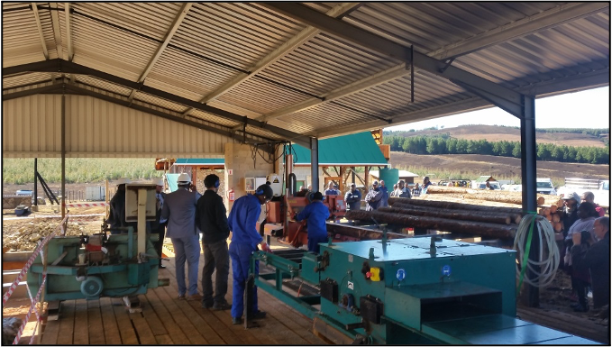 sawmill
