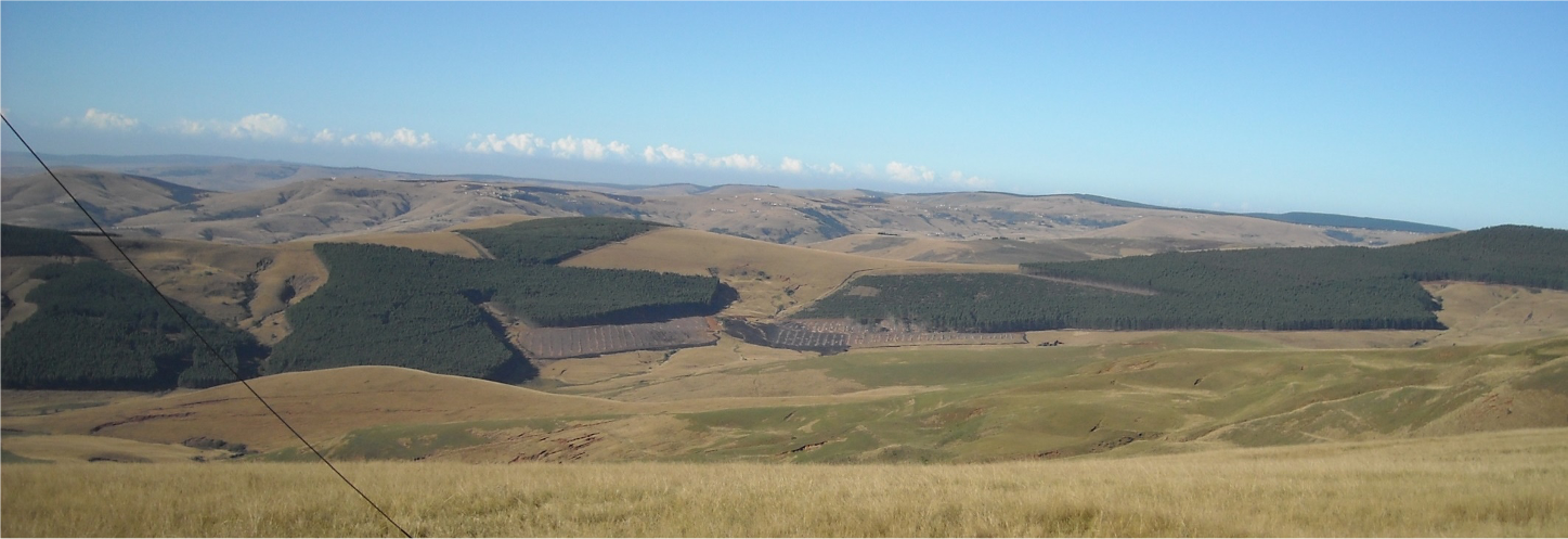 zintwala